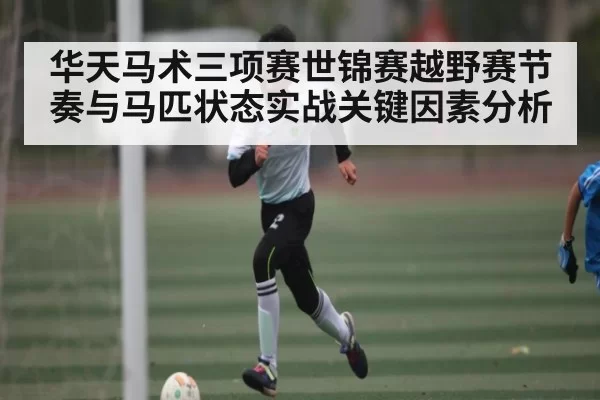 华天马术三项赛世锦赛越野赛节奏与马匹状态实战关键因素分析